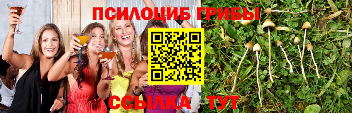 Галлюциногенные грибы MAGIC MUSHROOMS  Вход с VPN  Галлюциногенные грибы мухоморы  Урюпинск 