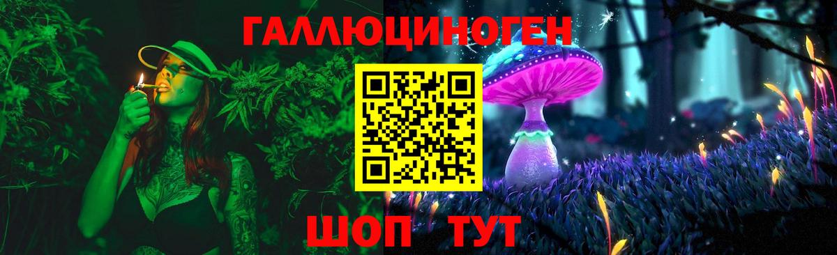 Псилоцибиновые грибы GOLDEN TEACHER Урюпинск